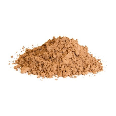 Reishi Svampe