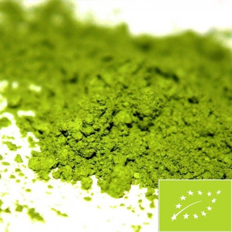 Økologisk Matcha